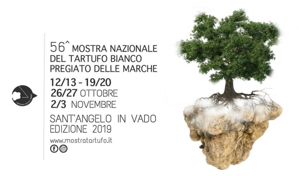 56°mostra tartufo